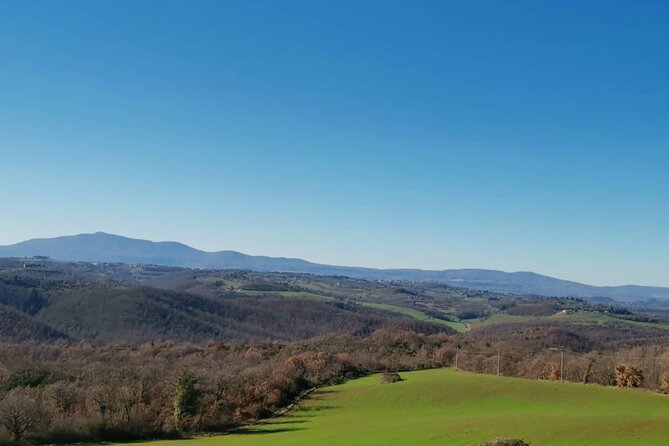 The Spell of Lake Trasimeno - Trekking Tour - Accessibility Information
