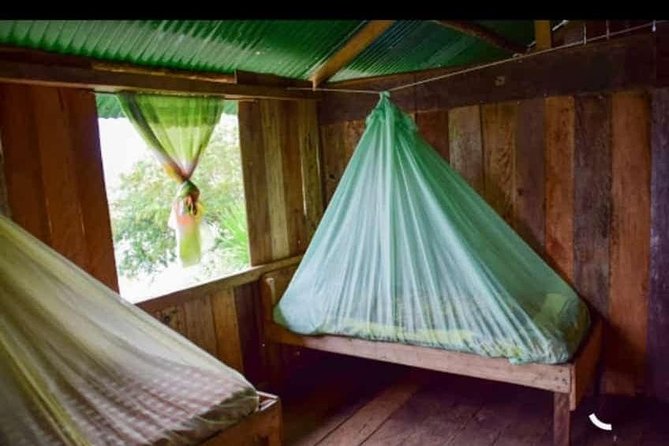 The Tree House - Tours - Swing at the End of the World - Viewpoint - Participant Guidelines