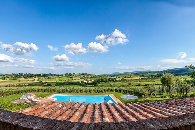 Think of a Romantic Meal in the Olive Trees Shade, Accompanied by Tuscan Wines! - Meeting Point and Logistics