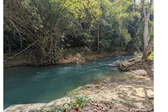 Thrilling River Rapids Adventure From Montego Bay - Exploring the Lush Jamaican Landscape