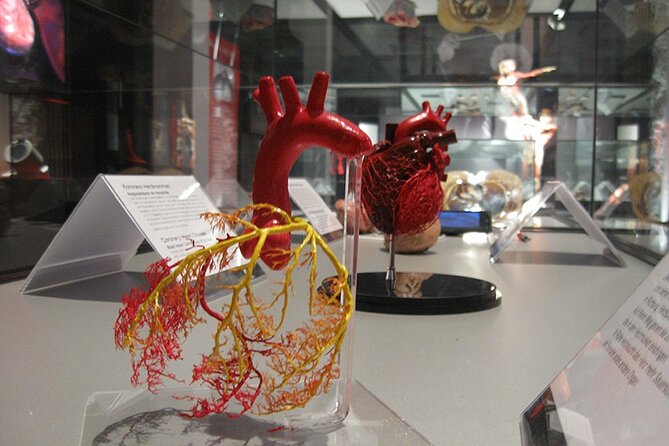 Ticket Expo Body Worlds Review: A Fascinating Experience - Visitor Reviews