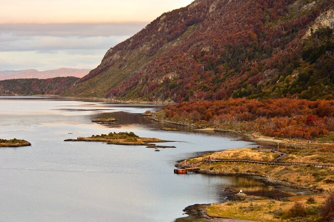 Tierra Del Fuego National Park PM - With Dinner Included - Guest Reviews and Feedback