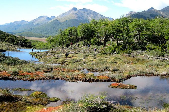 Tierra Del Fuego National Park With Lapataia Bay From Ushuaia - Navigating the National Parks Trails