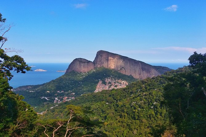 Tijuca Forest Trail Running Tour - Preparation and Recommendations