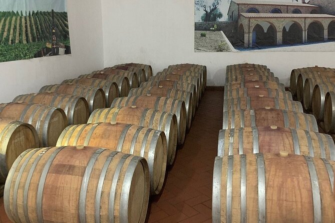 Tirana: Wine Tasting & Vineyards Escape - Participation Requirements and Restrictions