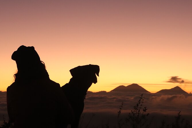 Toliman Volcano Hike - Scenic Views and Ecosystems