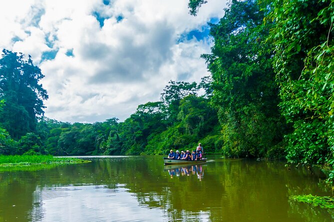 Tortuguero: Canoe Tour + Night Jungle or Spawn Turtle - Participant Restrictions
