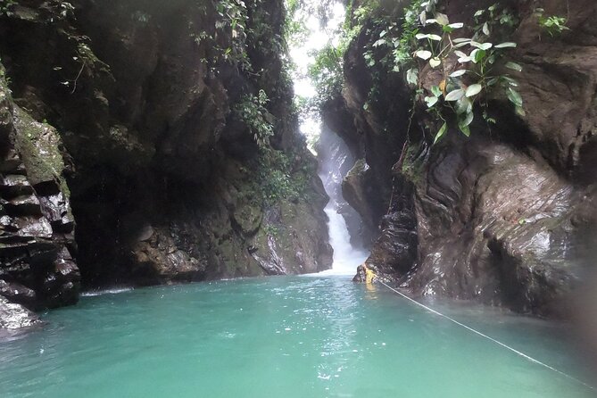 Tour Birds, Anchicaya and the Oasis of the Siren - Inclusions and Exclusions