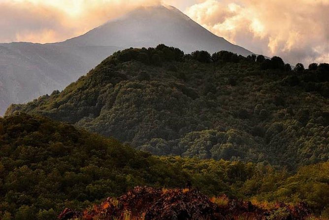 Tour Etna & Wine Tasting Private - Volcanic Wine Tasting