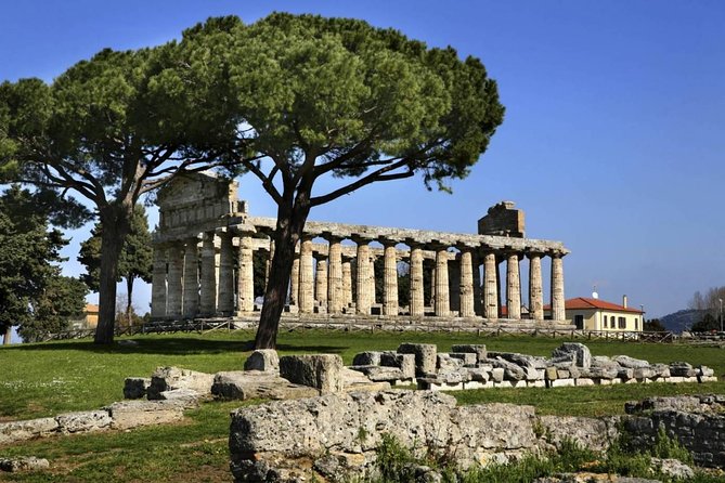 Tour in the Ruins of Paestum With an Archaeologist - Guided Experiences