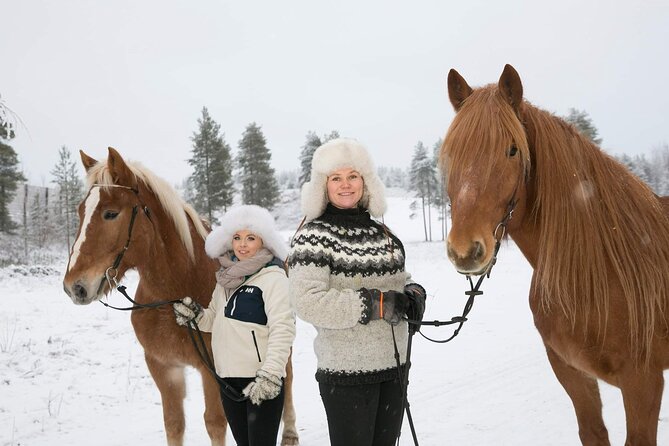 Tour to Aurora Horses Farm Review - Visitor Experiences