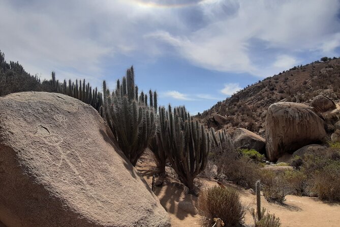 Tour to Valle Del Encanto Archeology, Petroglyphs, Flora, Fauna and Springs - Booking and Accessibility Information