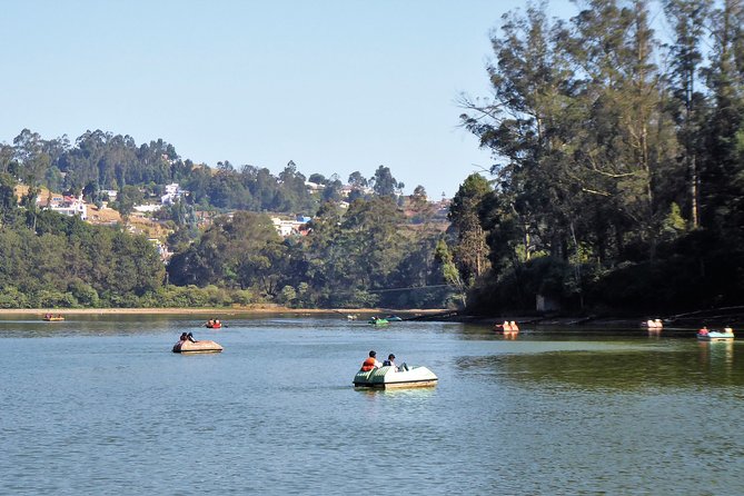 Touristic Highlights of Ooty (Guided Full Day City Sightseeing Tour by Car) - Customer Reviews and Ratings