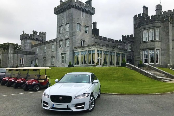 Transfer - Dublin to Cork City (Or Reverse) - Premium Sedan - Accessibility and Participation