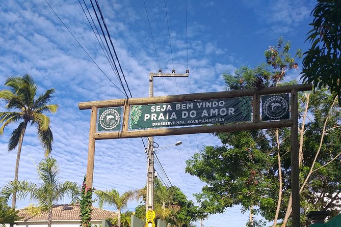 Transfer From Recife/Pe Airport to Pipa/Rn Beach for up to 1 to 4 People. - Operating Hours and Availability