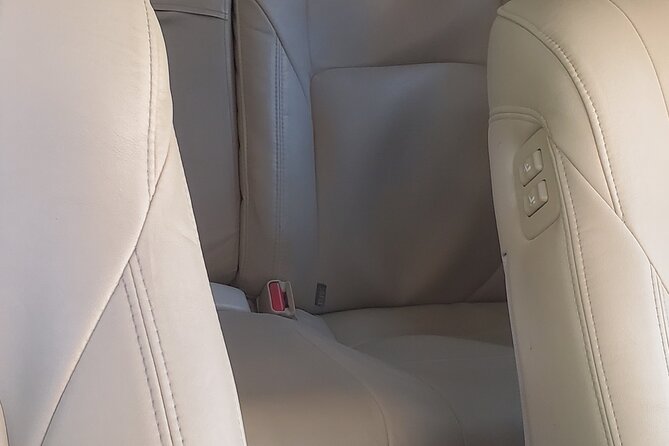 Transportation From Montego Bay to Your Hotel. - Booking Confirmation and Cancellation