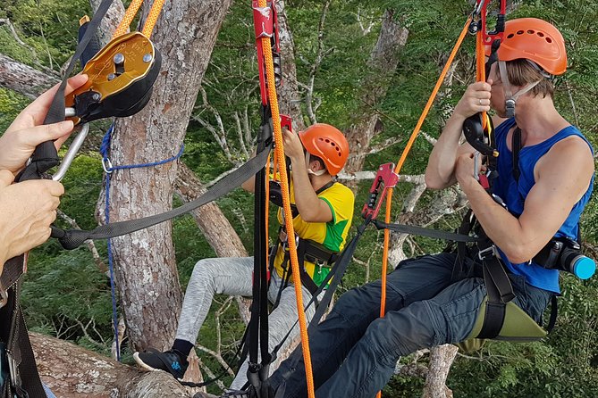 Tree Climbing in the Amazon - Future Adventuring Opportunities