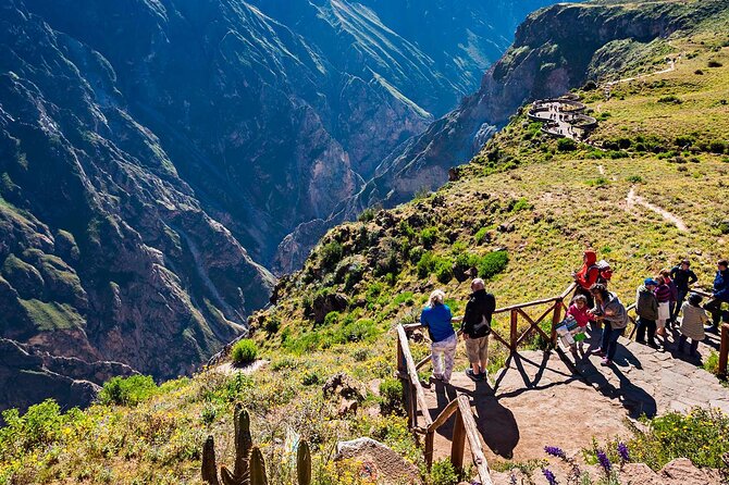 Trekking 2 Days to the Colca Canyon - Exploring the Canyon Floor
