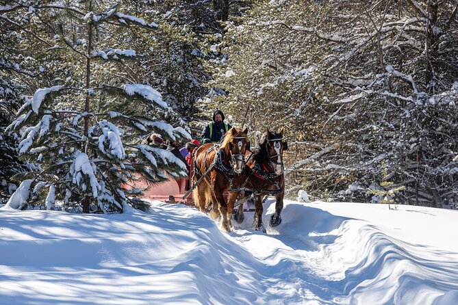 Tremblant Sleighride - Meeting and Departure Information