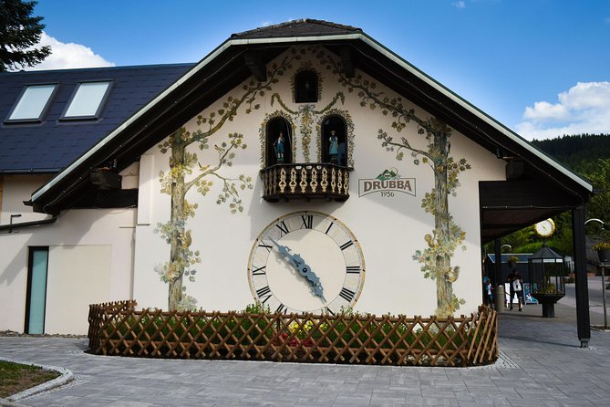 Trip From Zurich to Germanys Black Forest & Swiss Rhine Falls - Traveler Experience