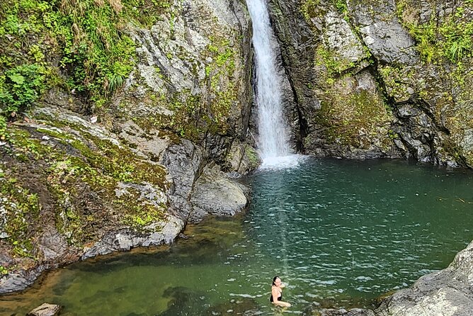 Tropical Rainforest Waterfalls & Panoramic Views Experience - Adventure-Filled Experiences