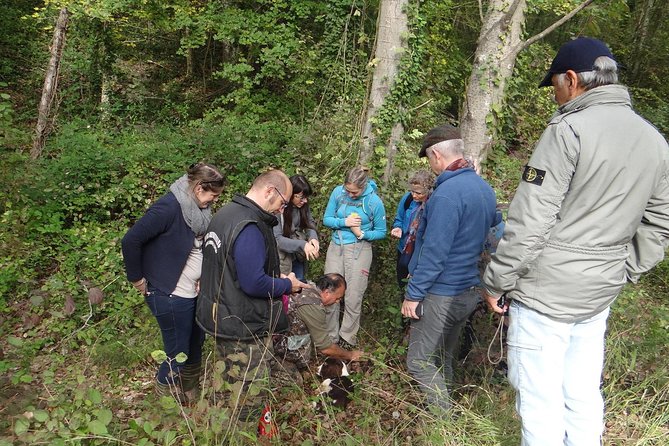 Truffle Hunting With Wine Tasting in Chianti - Tuscan Farmhouse Lunch Experience