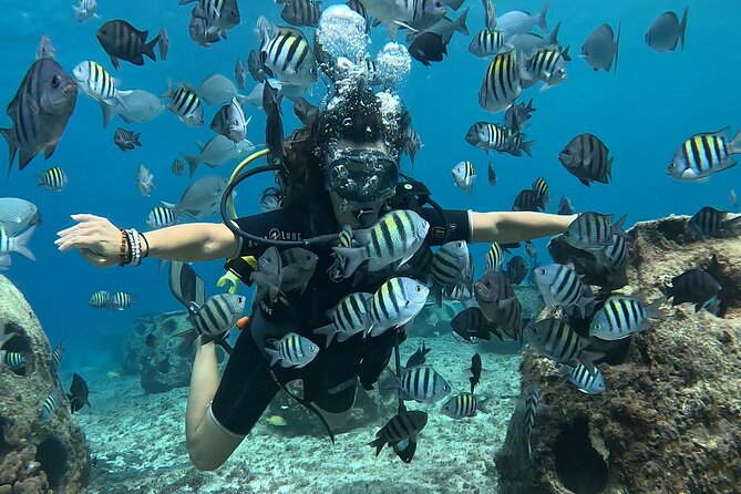 Try Diving Without Previous Experience From Shore - Expert Local Guidance