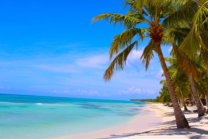 Try Find Your Better Than Us ! Airport Transfer Service Punta Cana HTL-APT (Puj) - Reviews and Ratings