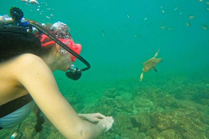 Try Scuba Diving & Snorkeling With BBQ Lunch & Transfer - Safety and Equipment