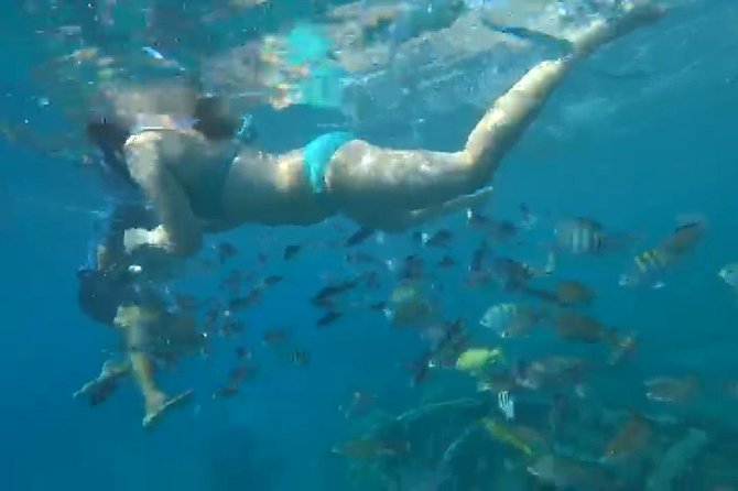 TUGBOAT Snorkeling Trip - Snorkeling Locations and Environments