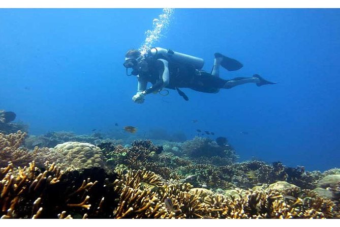 Tulamben Diving USS Liberty Shipwreck Scuba Dive - Nearby Attractions