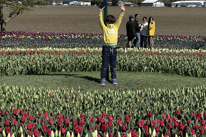 Tulip Festival in Skagit Valley Tour From Seattle - Traveler Feedback