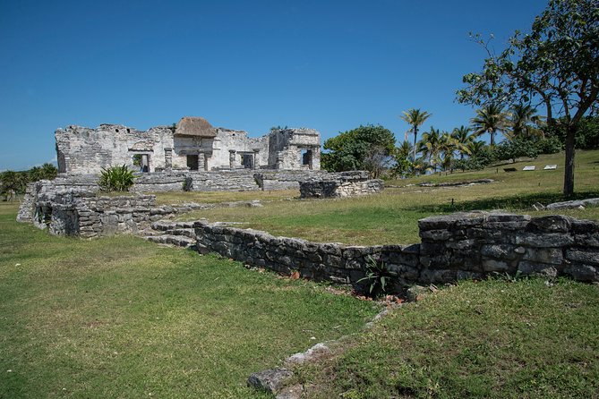 Tulum & Cenote Adventure - What to Expect