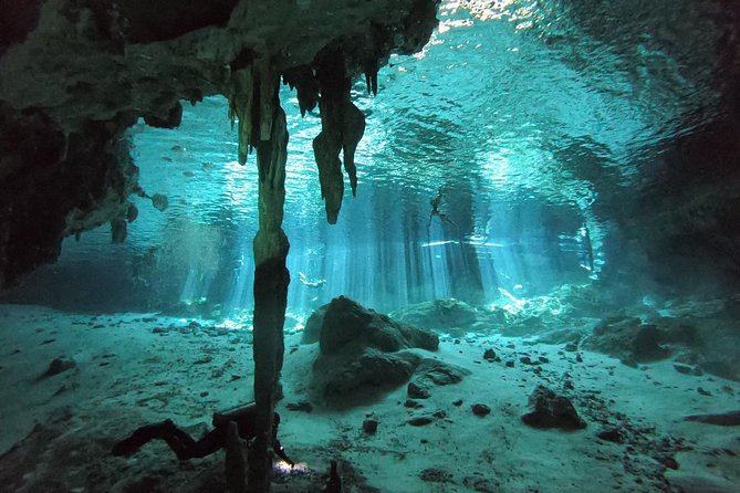 Tulum Cenote Diving. the Real Mayan Underworld - Additional Requirements