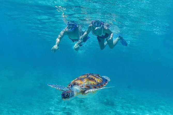 Tulum, Snorkeling With Sea Turtles, Cenote and Beachside Lunch - Transportation and Meeting Details