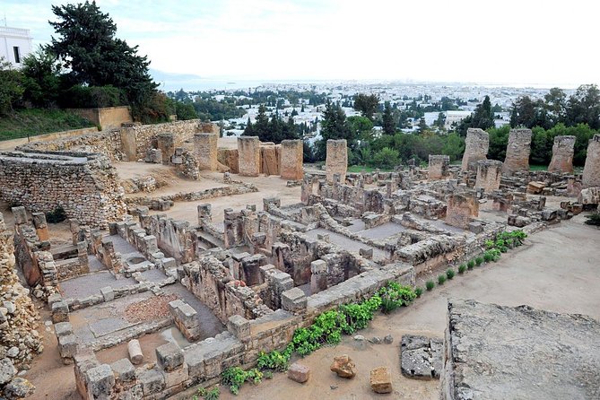 Tunis, Sidi Bousaid and Carthage Day Trip From Monastir - Meeting Points and Schedule