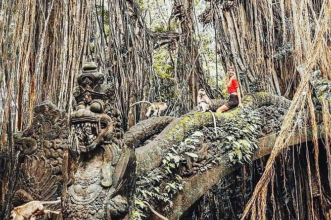 Ubud Iconic Waterfall and Temple Tours - Pickup Locations and Times
