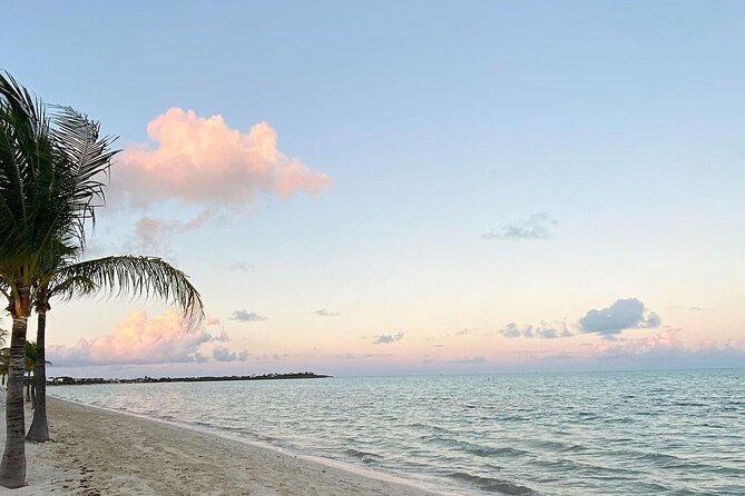 Ultimate Fish, Snorkel & Cruise 3/4 Day - Booking and Reservations