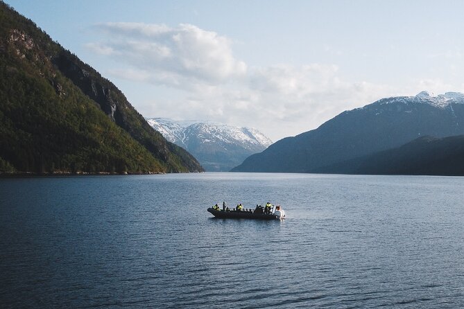 Ulvik RIB Adventure Tour to Hardangerfjord & Osafjord - Expectations for the Activity