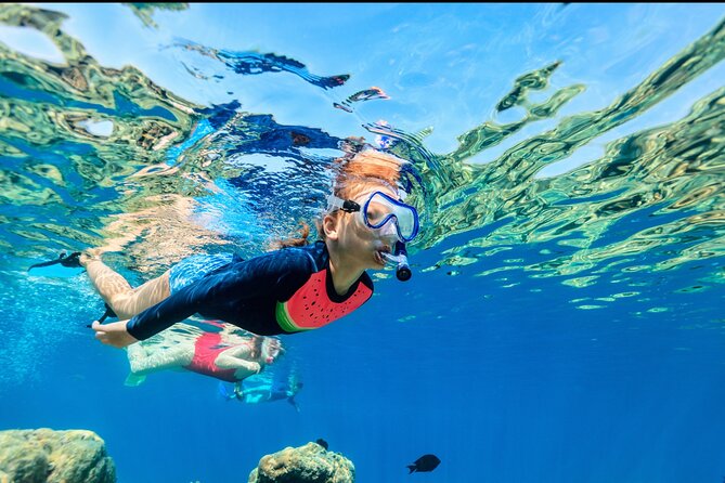 Underwater Sculpture Park Snorkel Adventure - Meeting Point and Logistics