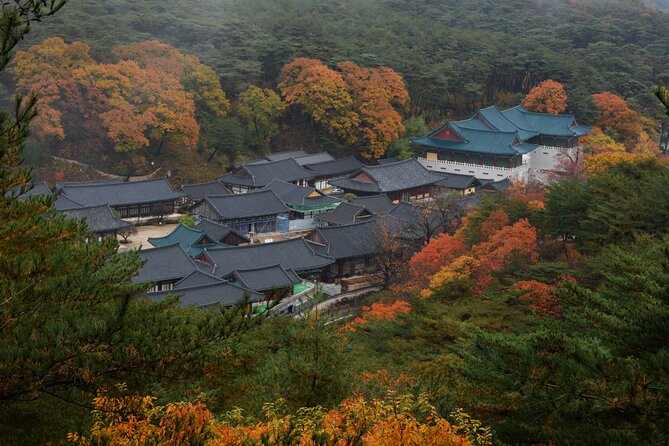 UNESCO Tongdosa Temple + Gourmet Eonyang Style Bulgogi Lunch - Culinary Experience Details