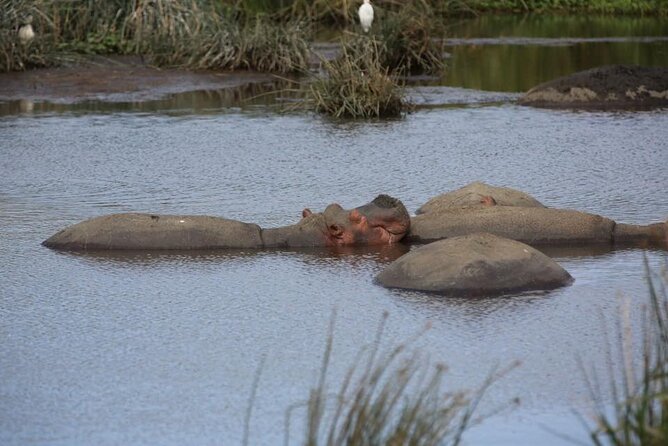 Unforgettable Tanzania Safari And Zanzibar Beach - Meeting and Pickup Information