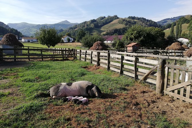 Unspoiled FRENCH BASQUE COUNTRYSIDE - Private Cultural Adeventure - Customized Tour Experience