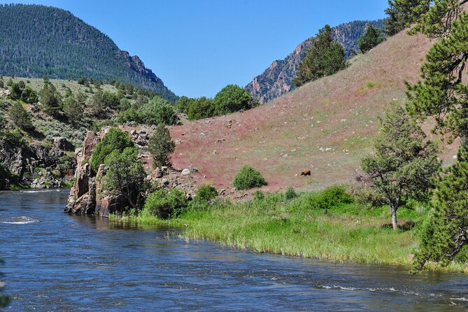 Upper Colorado River Half-Day Float Trip Near Kremmling - Customer Experiences