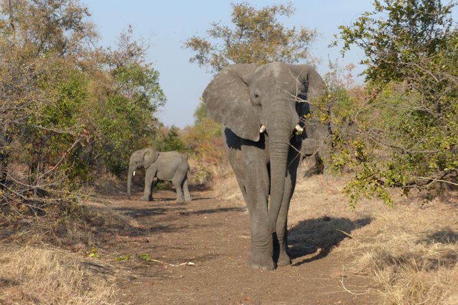 Upper Zambezi Canoeing - Cancellation and Weather Policy