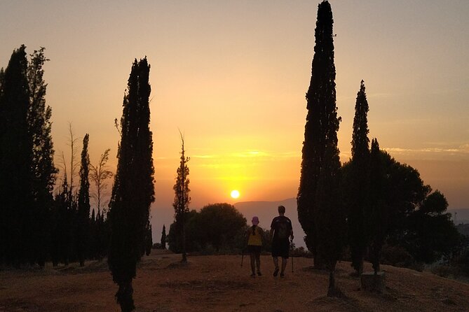 Urban Hiking, Dehesa Del Generalife. Around the Alhambra. Granada - Inclusions and What to Expect