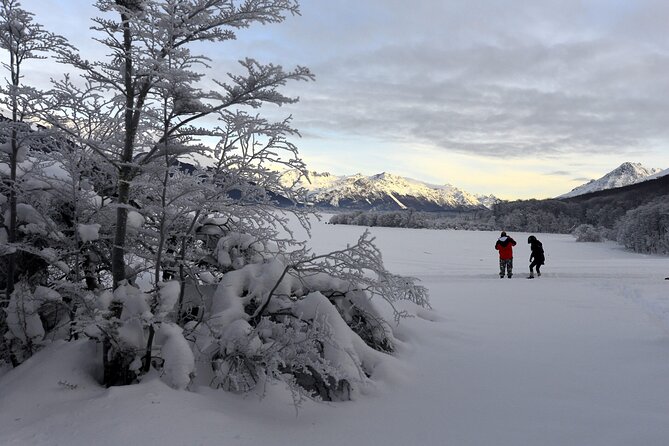 Ushuaia: Full Day Snow: Sledding With Huskies Snowmobile 4x4 - Snowshoe Walk and Sleigh Ride