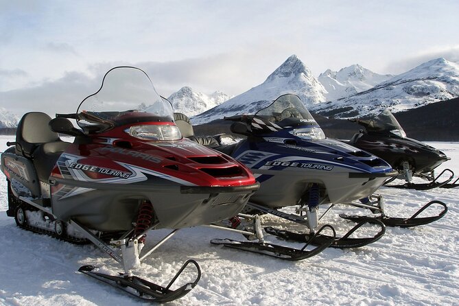 Ushuaia: Snow & Fire: Dog Sled and Snowshow By Night - Customer Reviews and Insights