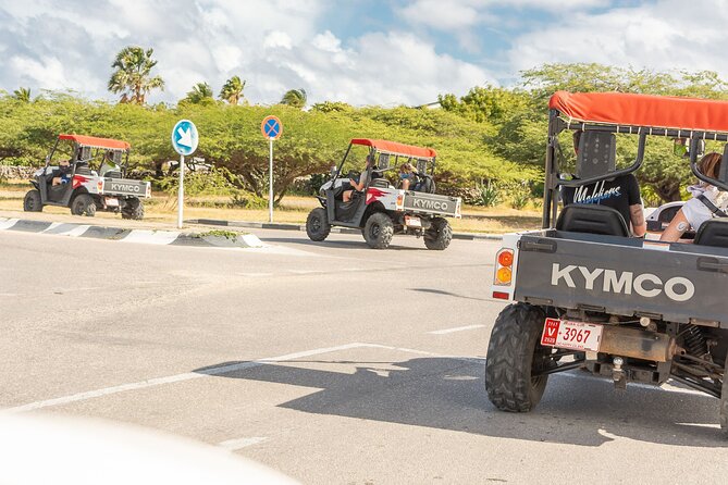 UTV 4 Hours Rental: Explore Arubas Amazing Hotspots by Yourself - Health and Accessibility