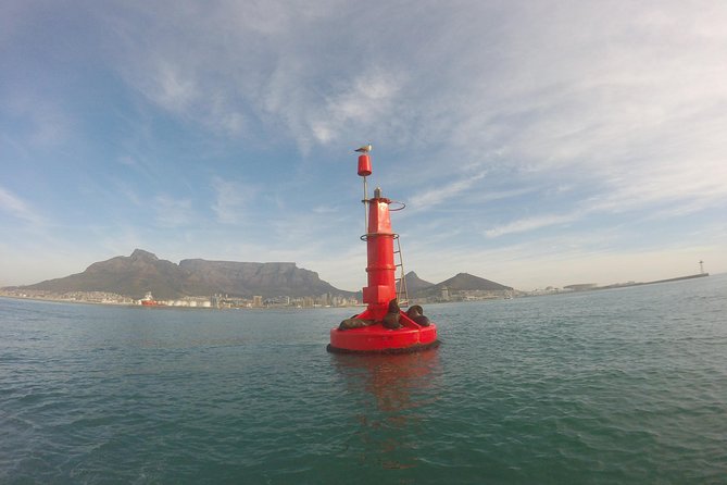 V&A Waterfront Marine Big 5 Ocean Safari - Boat and Equipment Details